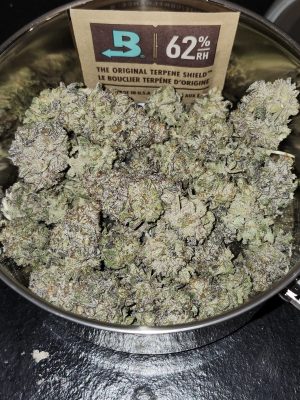 inbound7877579227135088157