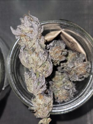 inbound8571313511845445408