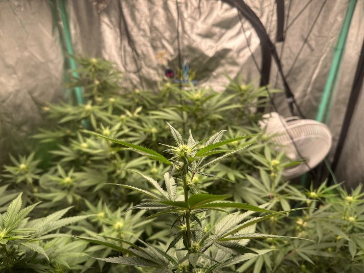 7F68FBD6-5459-4096-B29A-903FCE533E4C