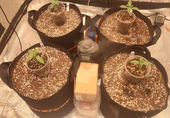 IMG_20241014_221314540_HDR~2