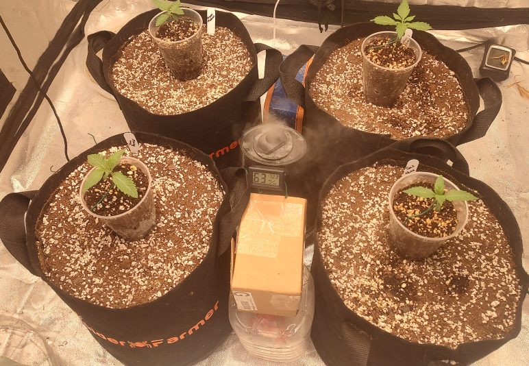 IMG_20241014_221314540_HDR~2