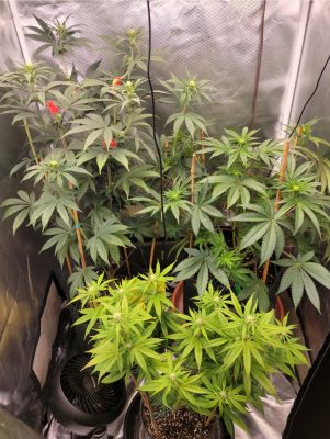 Screenshot_20241017_180339_Gallery