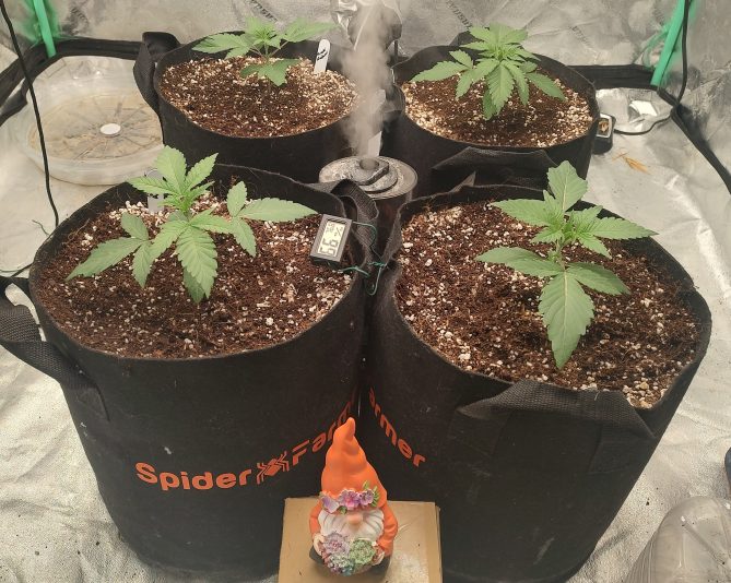 IMG_20241021_162734942_HDR~2