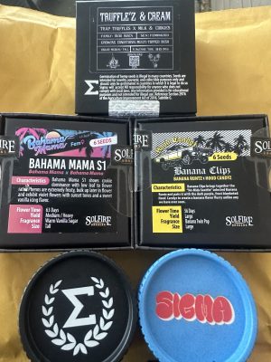 C21B0B34-3583-4546-AB47-5F5A63802582