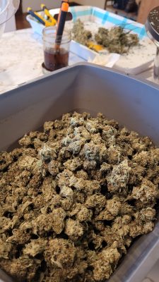 17281693997532788142852582638024