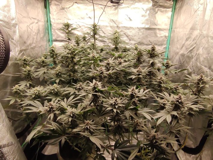 IMG_20250523_195052407