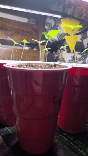 VideoCapture_20250530-220314