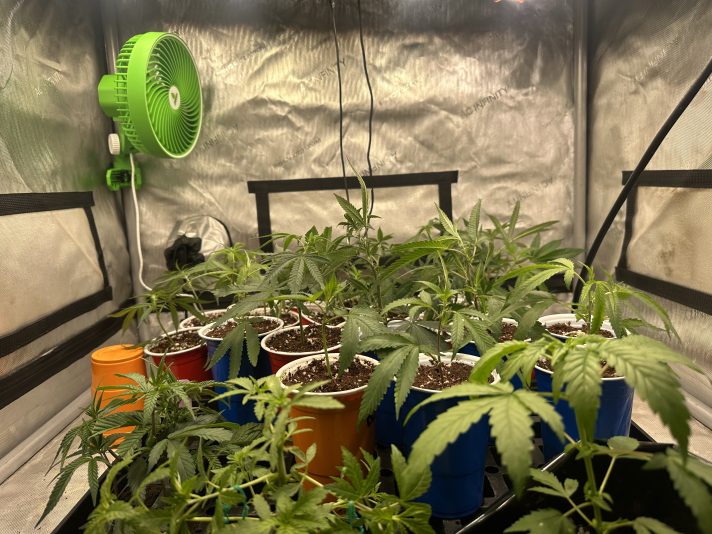 A04F5627-4301-4DE6-B212-C7109041C663