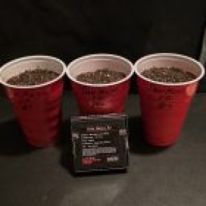 Profile photo of dmoney6970