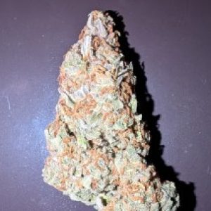Profile photo of Jazona