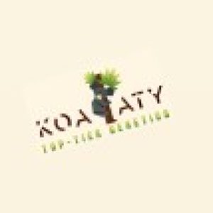 Profile photo of Koalaty