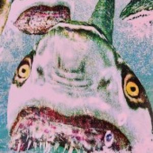 Profile photo of Nigel Boake