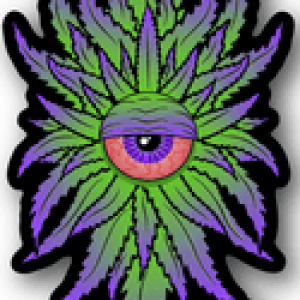 Profile photo of Nug-o