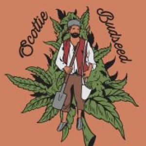 Profile photo of Scottiebudseed