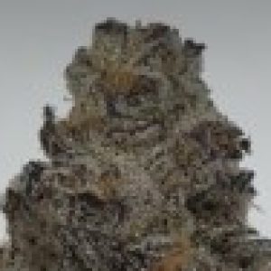 Profile photo of wisethegrowguy420